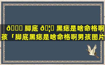 🐈 脚底 🦁 黑痣是啥命格啊男孩「脚底黑痣是啥命格啊男孩图片」